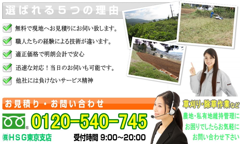 東京都港区六本木・赤坂・新橋の草刈り、草むしり、除草、剪定、伐採業者として、お客様から選ばれる５つの理由
