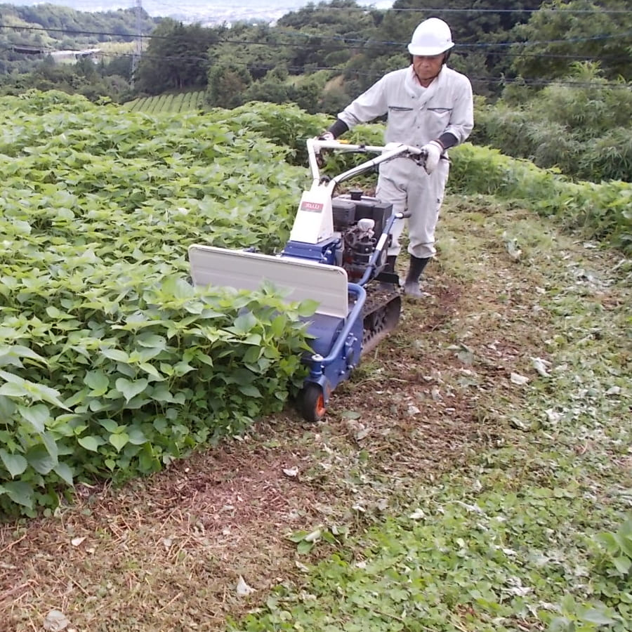 神奈川の草刈り 草むしり 耕耘代行サービス ｈｓｇ
