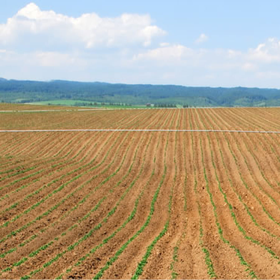 埼玉県久喜市の農地・遊休地維持管理