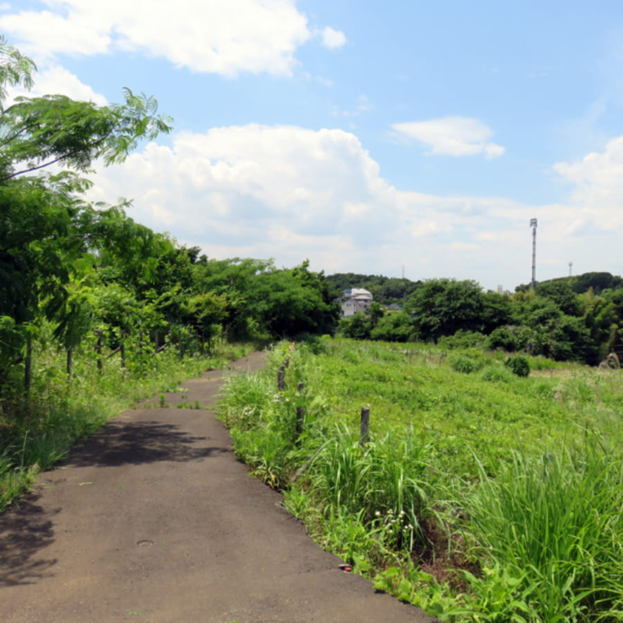 埼玉県熊谷市の草刈りを行いました