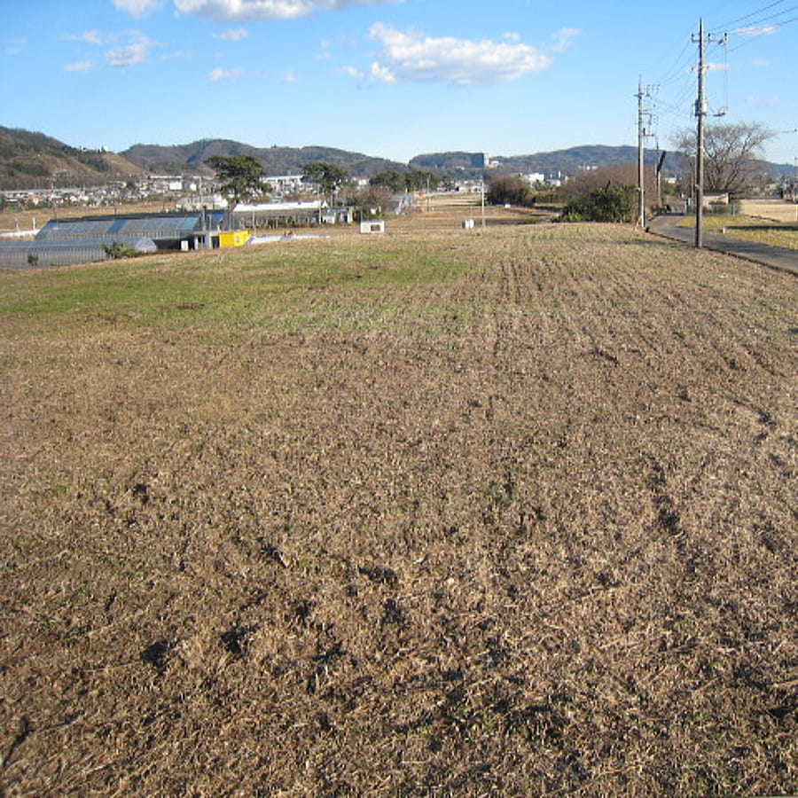 神奈川県沼津市の農地維持管理を行いました