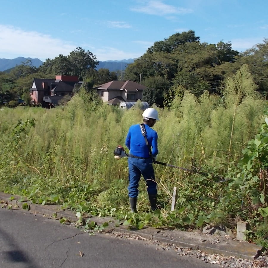 東京都東村山市の敷地の草刈り・草むしり作業